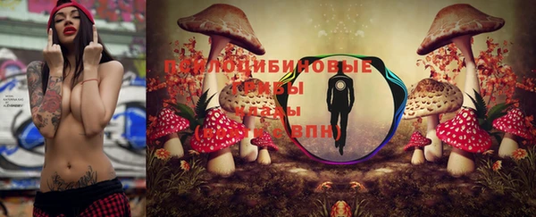 МДПВ Магадан