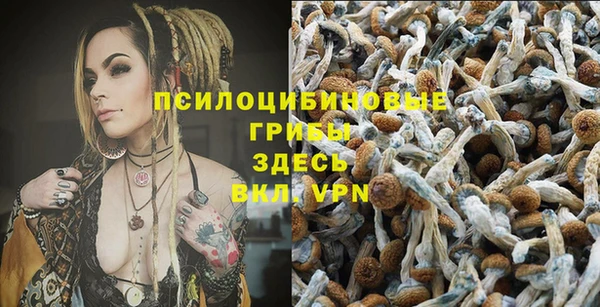 кокс Медвежьегорск