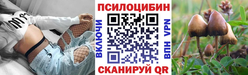MEGA ONION  нарко площадка формула  Терек  Галлюциногенные грибы Cubensis  цена  