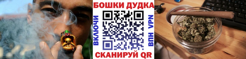 закладка  Терек  Конопля сатива 